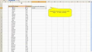 Append Data Using Microsoft Excel