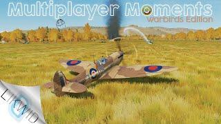 Multiplayer Moments #8 - DCS Warbirds Edition (Funny's, Fails & Fireballs!)