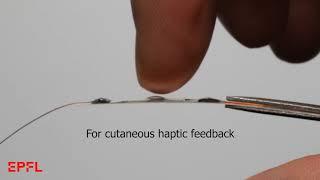HAXELs: Hydraulically Amplified Electrostatic Actuators for Wearable Haptics