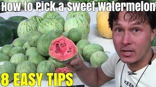 How to Pick a Sweet Watermelon Every Single Time - Top 8 Tips