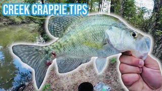 CREEK CRAPPIE FISHING TIPS FROM THE BANK‼️ CATCH MORE CREEK CRAPPIE IN 2024‼️