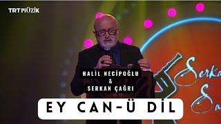 Halil Necipoğlu - EY CAN-Ü DİL