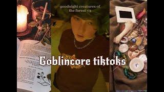 Goblincore tiktoks cuz thats what y'all want