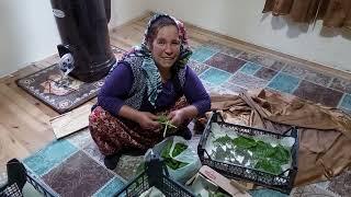 Alanya Dim Alacami Köyünde İpekböceği Yetiştiriciliği