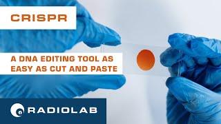CRISPR | Radiolab Podcast