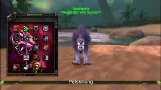 WoW MM-Hunter PvE Guide 3.3.5 [HD]