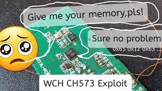 Exploit Friday: WCH CH573 Memory Read-out Protection bypass