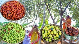 প্রত্যেক বছরের মতন এবছরও ঠাকুমা কুলের আচার বানালো | Kuler Achar |