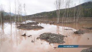 Общественники из Кузбасса винят хакасских золотодобытчиков в загрязнении реки Томь