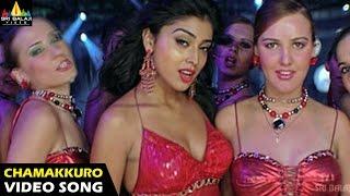 Munna Songs | Chamakkuro Chella Video Song | Telugu Latest Video Songs | Prabhas, Shriya