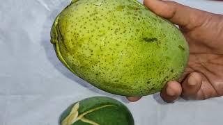 Have you seen such big mangoes?