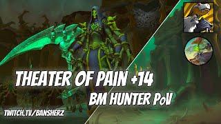 +14 Theater of Pain BM Hunter PoV