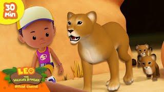 SCARY MEAT EATERS!  | Carnivores Compilation | Leo the Wildlife Ranger | Kids Cartoons