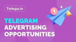 Telegram for Business: How to launch a risk free advertising campaign