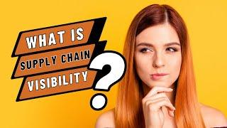 What is Supply Chain Visibility and Why You Need It