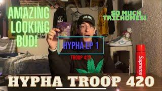 Hypha -Troop 420 (strain spotlight)