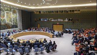 Syria: The situation in the Middle East - Security Council | United Nations