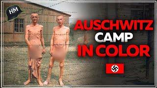 NEVER BEFORE SEEN Videos of Auschwitz (Pure COLOR)