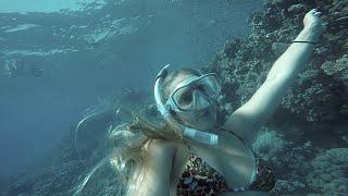 Swimming To The Bottom Of The Red Sea - Underwater Girl