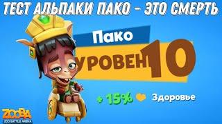 АЛЬПАКА ПАКО НА 10 ЛВЛ! ТЕСТ ИМБЫ - ЭТО СМЕРТЬ. ТАКОЙ ИМБЫ ВЫ НЕ ВИДЕЛИ В ИГРЕ ZOOBA.