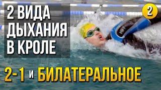 Дыхание 2-1 и 3-1. Билатеральное дыхание в кроле. Как правильно дышать при плавании кролем?