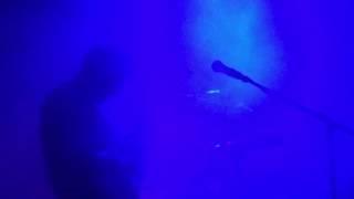 Plants and Animals (live at Bogen F, Zurich, 02/13/17)