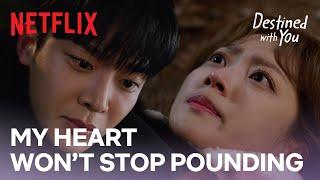 Cho Bo-ah & Rowoon's search for a dog becomes a hunt for love | Destined With You EP 6 [ENG SUB]