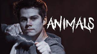 Void Stiles || Animals