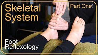 How to Work the Skeletal System in Reflexology  - Part 1