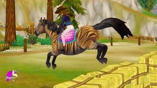 Zony Training ! Zebra Pony Mix  New Star Stable Horse - Roleplay Video