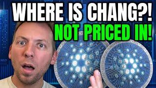 CARDANO ADA - WHY HASN'T CHANG BEEN LAUNCHED?!! NOT PRICED IN!