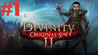 Стрим.Прохождение Divinity: Original Sin 2 №1.