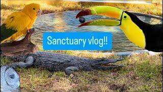 Sanctuary vlog!!