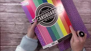 What Did I Get? Cardstock, Violent Veg, Birthday Gifts & More!