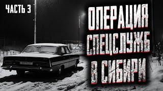 СПЕЦСЛУЖБЫ ПРОТИВ СЕКТЫ! Страшные истории на ночь. Мистика. Страшилки на ночь.