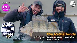  European Fishing League 2024 - EFL S3 Ep2: Perch Mayhem Unleashed In Rotterdam! | Outlaw Pro