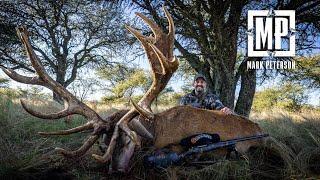 Argentina Red Stag | Mark Peterson Hunting