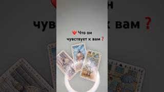 ️ Что он чувствует к вам #tarot #таро #гадание #тарорасклад #tarotube #таролог #гаданиетаро