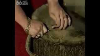 Snake trick by Wang Lin (Qigong master)