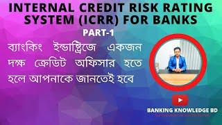 Internal Credit Risk Rating System for Banks Part 1