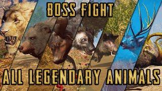 Assassin's Creed Odyssey - All 8 Legendary Animals BOSS FIGHT [1440p PC]