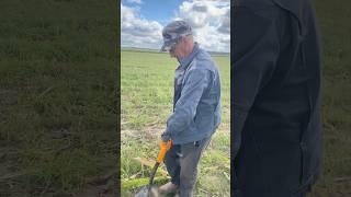 КАК ОН ЭТО НАШЕЛ??? #поискмонет #metaldetecting #клад #металлоискатель #metaldetector #коп #металл