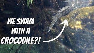 Cliff Diving, Snorkelling with Crocodiles, and Sky High Ziplining | The Best of Tulum, Mexico