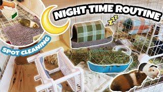 NIGHT ROUTINE WITH 14 GUINEA PIGS 