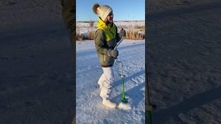 ПЕРВЫЙ ЛЁД 2024#рыбалка #fishing #рыбачка56 #winter