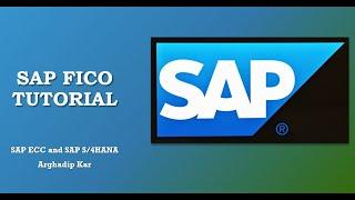 SAP Fico- How can I default a Payment Block and Change Baseline Date based on Pay Terms in Invoice?