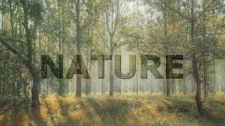 How to Create Cool Transparent Text Effect using GIMP | Photoshop Alternative | #30