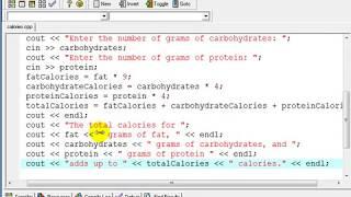 C++ Food Calorie Calculation Program