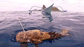 TANIGUE AT LUBA | Ganda ng TAMA na pwdeng BUHAYIN #spearfishingPhilippines #fishing #gopro