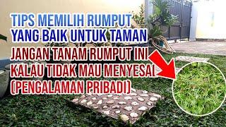 Tips Memilih Rumput Yang Baik dan Cocok buat Taman,  New 2021